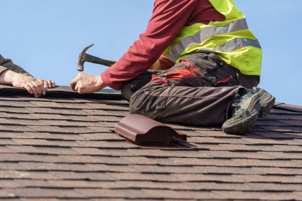 Best New Roof Installation  in Berrien Springs, MI
