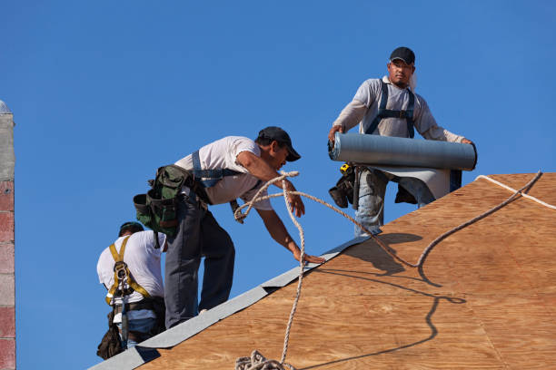 Best Residential Roofing Contractor  in Berrien Springs, MI