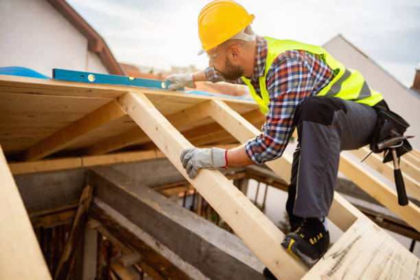 Best Local Roofing Companies  in Berrien Springs, MI