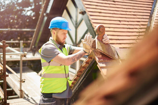 Best Roof Leak Repair  in Berrien Springs, MI